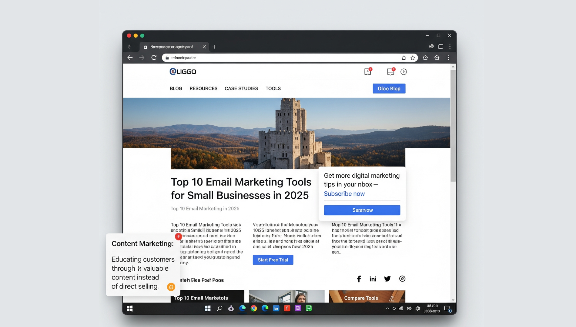 Mailchimp email automation dashboard showing audience segments and campaign performance in 2025