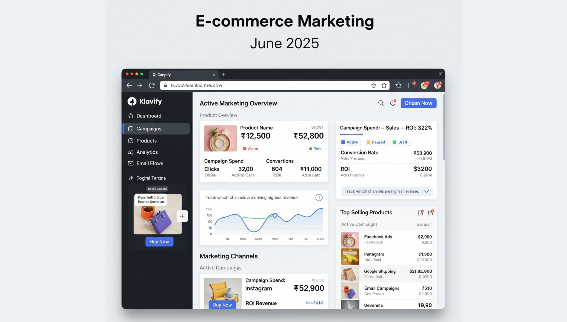 Klaviyo dashboard showing live campaign performance, abandoned cart recovery, and audience segmentation.
