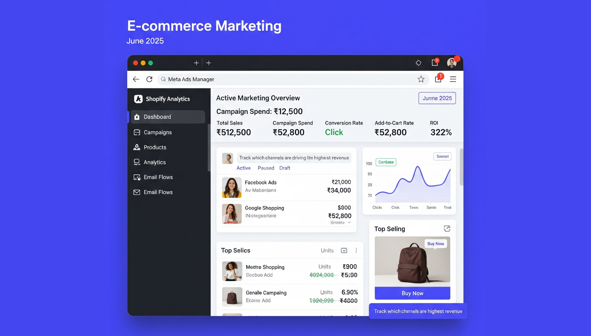 Shopify analytics screen displaying traffic sources, email campaigns, and sales attribution for an online store.